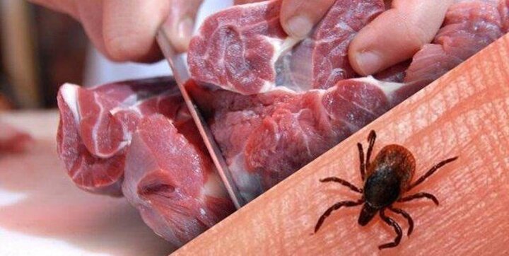 هشدار درباره خطر «تب کریمه کنگو» / مصرف گوشت تازه تا ۲۴ ساعت ممنوع!