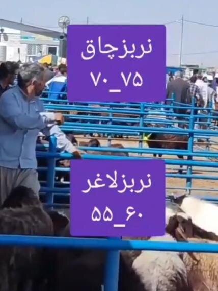 نربزچاق