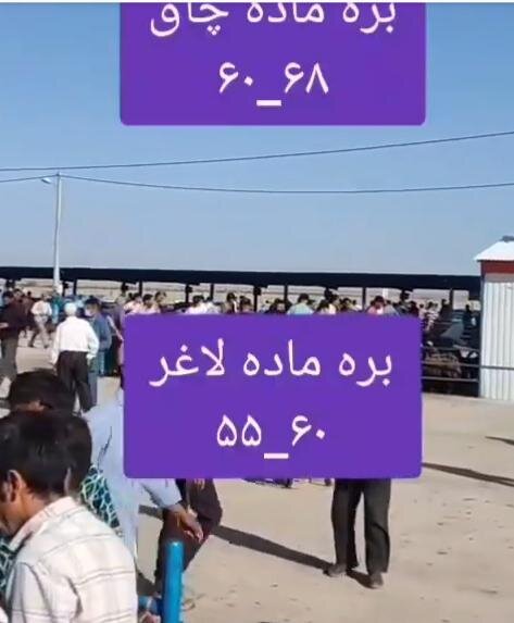 بره