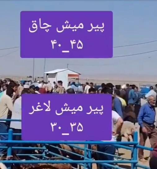 پیرمیش