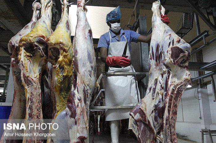 میزان تولید گوشت در سال ۱۴۰۰ در کشور اعلام شد