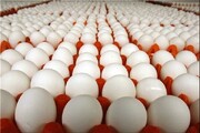 تخم‌مرغ در برخی مناطق تهران به ۱۰۰ هزار تومان رسید!