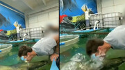 تصاویر هولناک از لحظه حمله ماهی آکواریومی به گردشگر بازیگوش / فیلم