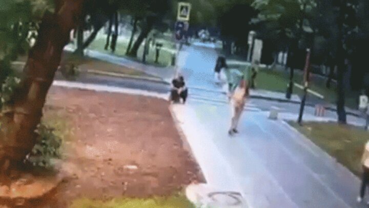 ویدیو هولناک از سقوط درخت روی سر مرد بدشانس درپی وزش باد شدید