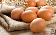 هشدار؛ هرگز تخم مرغ را به صورت خام مصرف نکنید!