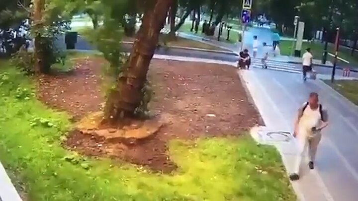 تصاویر دلخراش از لحظه سقوط مرگبار درخت روی مرد بدشانس روسی / فیلم