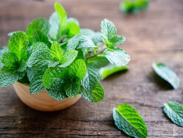 درمان جوش های سرسیاه با مصرف این سبزی خوشمزه