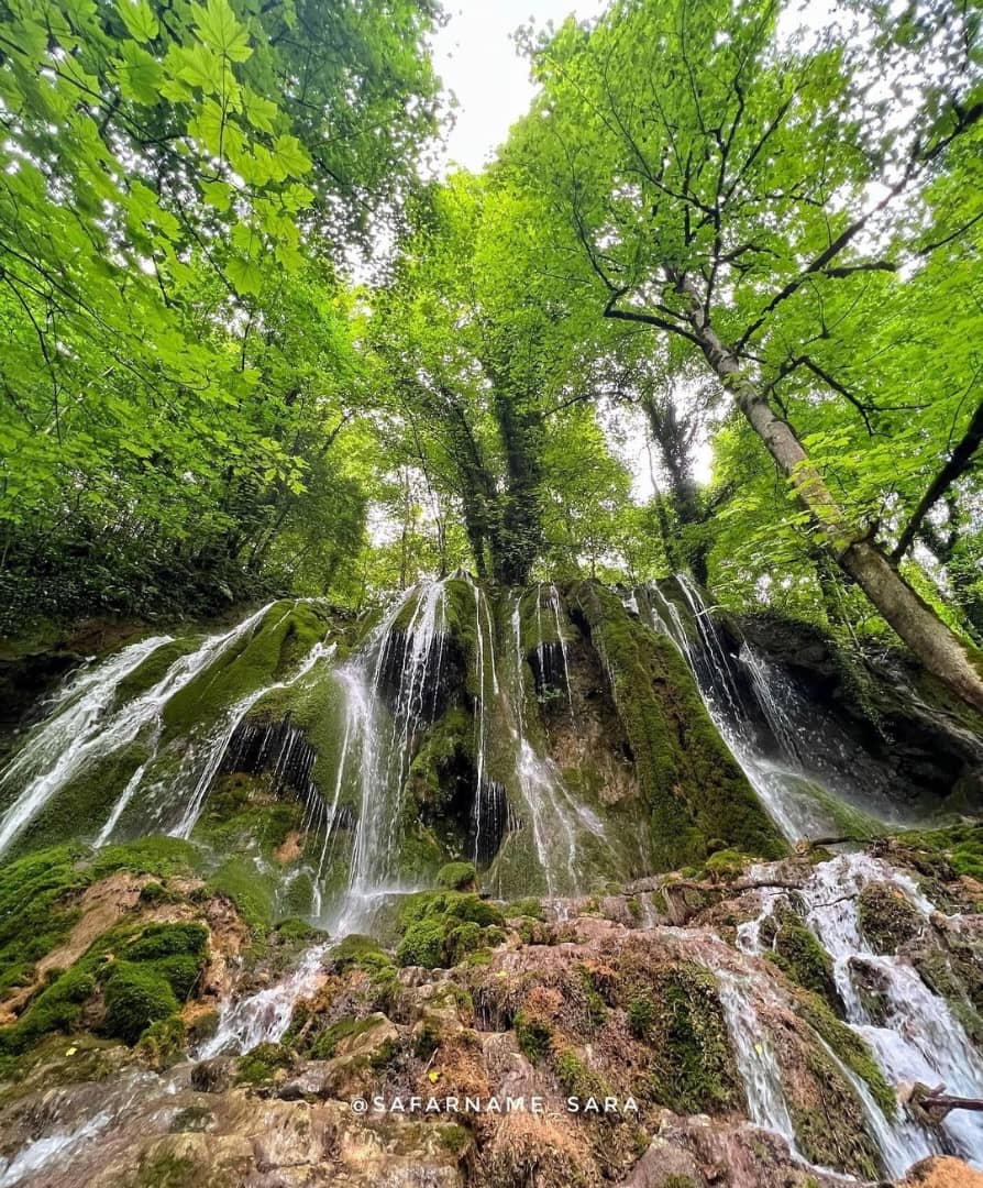 آبشارگردی در دل جنگلهای هیرکانی استان مازندران، روایتی از سارا خوشنژاد
