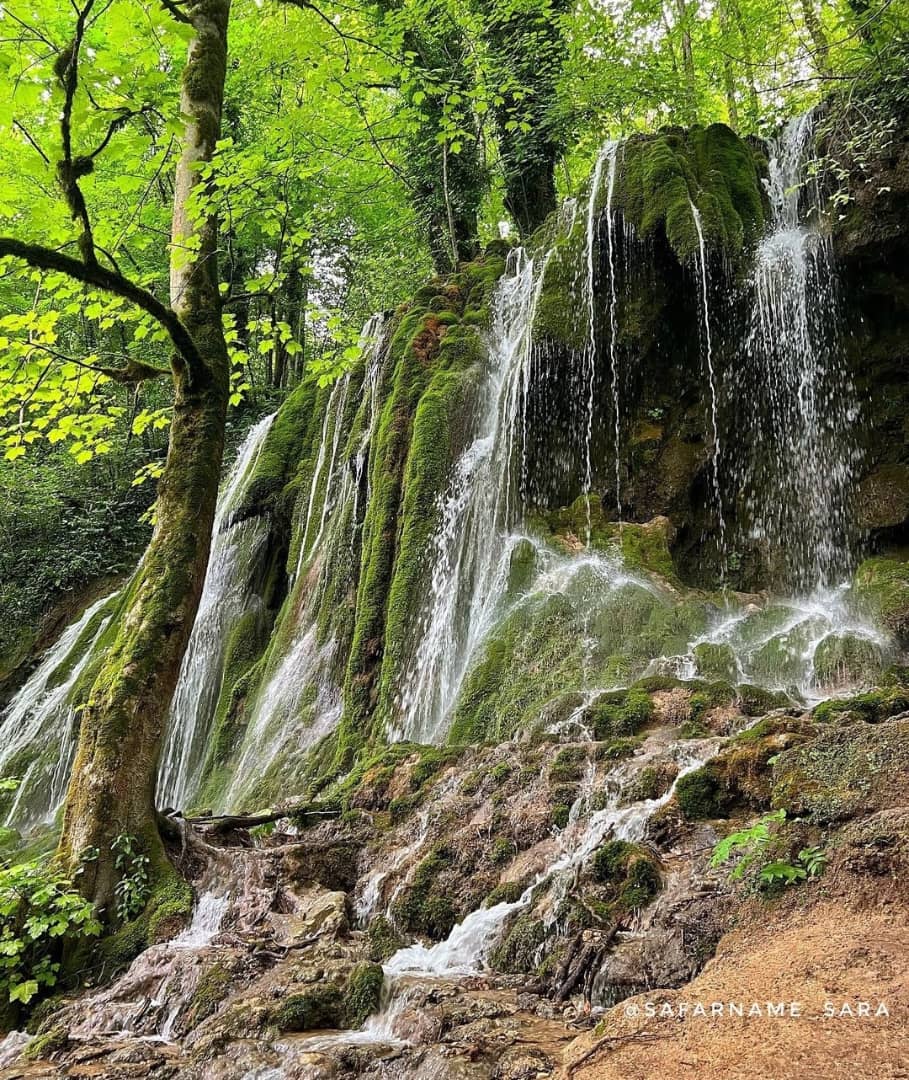 آبشارگردی در دل جنگل‌های هیرکانی استان مازندران، روایتی از سارا خوش‌نژاد
