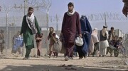 ۶ میلیون مهاجر افغانستانی آواره شده اند