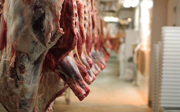 قیمت روز گوشت قرمز در بازار / هر کیلو گوشت چند؟