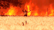 ویدیو دلهره آور از فرار مرد تنها از میان شعله های آتش در جنگل!