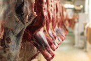بیش از ۵۲هزارتن گوشت قرمز در کشتارگاه‌های رسمی عرضه شد