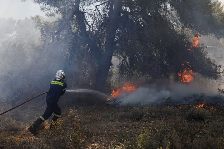 گرمای شدید جنگل‌های اروپا را به آتش کشید 
