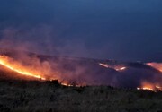 تصاویر وحشتناک از آتش سوزی جنگل های کالیفرنیا + علت چه بود؟ / فیلم
