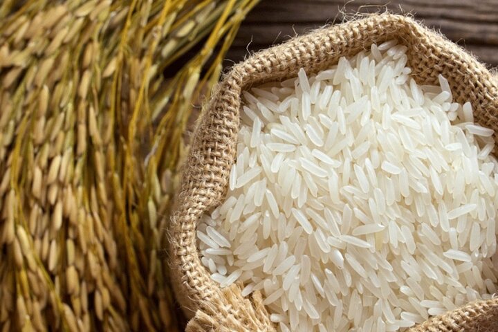 لغو ممنوعیت فصلی واردات برنج در سال جاری 