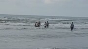 تصاویر دردناک از غرق شدن دو جوان تهرانی در ساحل فریدونکنار / فیلم