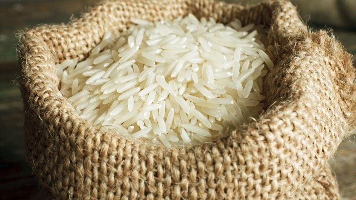 خبر خوب برای بازار برنج /  برنج هاشمی و طارم ارزان می شوند؟