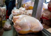 قیمت مرغ در فروشگاه های زنجیره ای + جدول