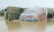 سیل برنج‌های وارداتی در گمرک زاهدان را نابود کرد / فیلم