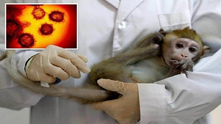 تصمیم ایران برای واکسن آبله میمون؛ تولید یا واردات؟