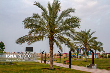 پارک‌های تفریحی بوشهر