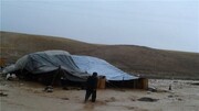 خسارت سیلاب به عشایر چهارمحال و بختیاری / یک نفر مفقود شد