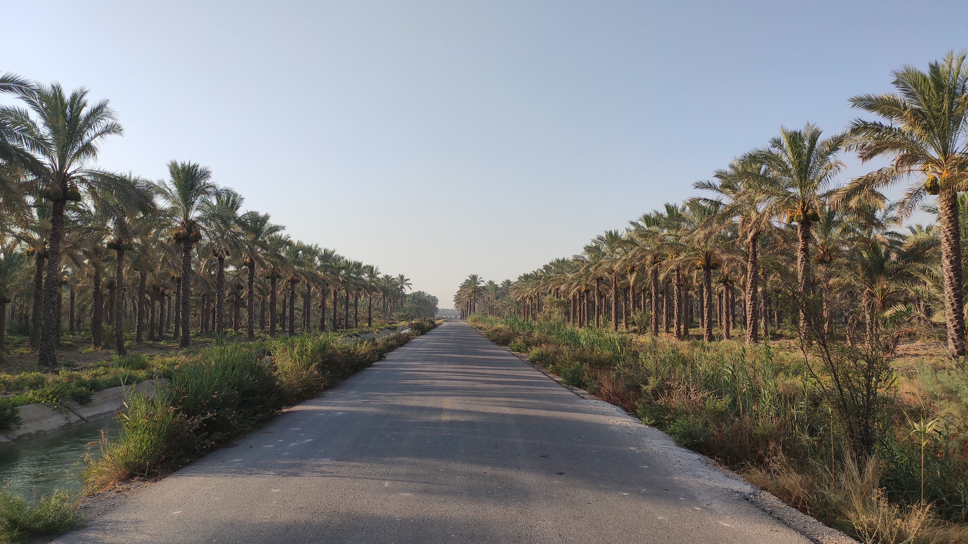 جاهای دیدنی بوشهر