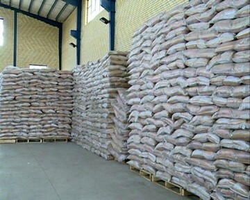 افزایش ۲۰ تا ۲۵ درصدی تولید برنج / برنج ارزان می‌شود؟ + قیمت جدید