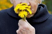 نشانه مهم ابتلا به آلزایمر در سالمندان کشف شد