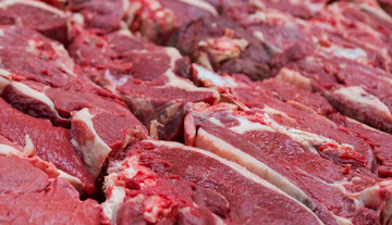 رکود در صنعت دامپروری / قیمت روز انواع گوشت در بازار