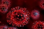 تاریخ انتقال اولین ویروس کرونا از حیوان به انسان
