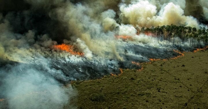 تصاویر آخرالزمانی از جنگل های آمازون در میان شعله های آتش / فیلم