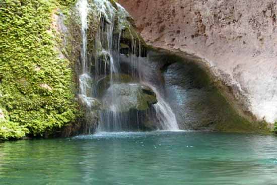 دیدنی های شیراز در بهار