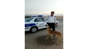 اقدام تحسین برانگیز پلیس راهور با سگ ولگرد / فیلم
