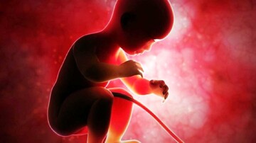 عوارض خطرناک و مرگبار سقط عمدی جنین / عکس