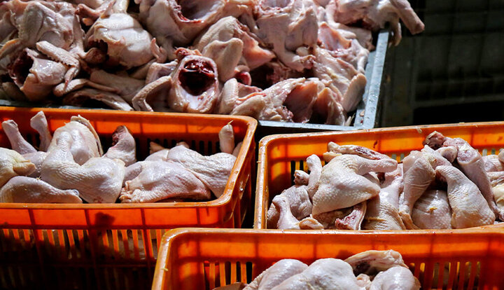 قیمت مرغ امروز ۲۰ مرداد ۱۴۰۱ چند؟