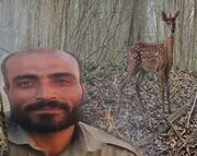 قتل محیط‌بان «برومند نجفی» در کرمانشاه / سازمان محیط زیست: چرا باید محیط‌بان به این راحتی کشته شود؟!