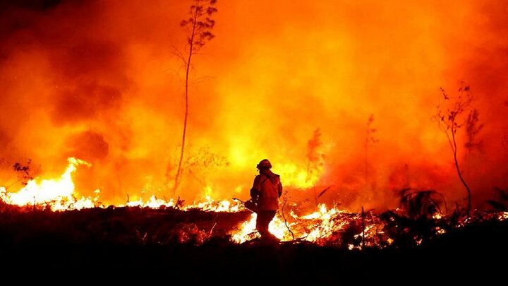 تصاویر آخرالزمانی از آتش‌سوزی‌های گسترده یک جنگل صد هزار هکتاری در روسیه + فیلم