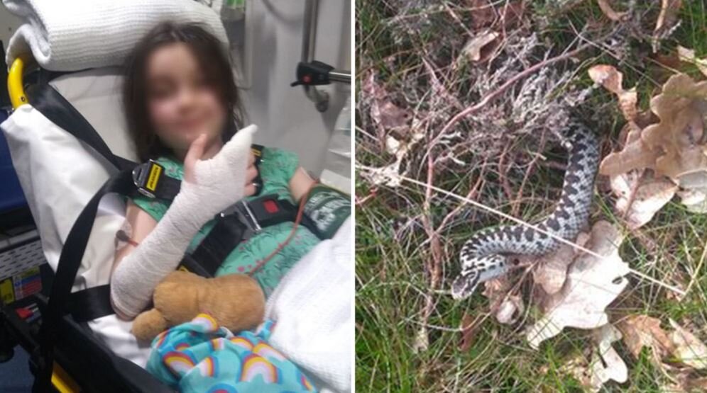کودک 2 ساله در واکنش به نیش مار او را گاز گرفت و کشت