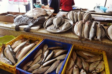 قیمت انواع ماهی و میگو در بازار + جدول