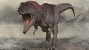 ویدیو دیده نشده از اسکلت تازه کشف شده یک دایناسور