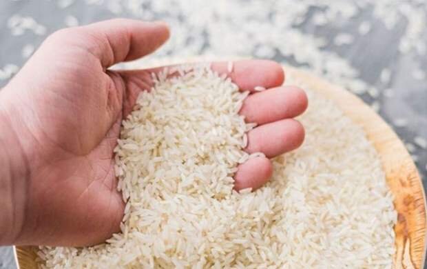 قیمت برنج ایرانی ۵۰ درصد ارزان می‌شود؟