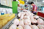 قیمت مرغ در بازار کاهش یافت + قیمت جدید