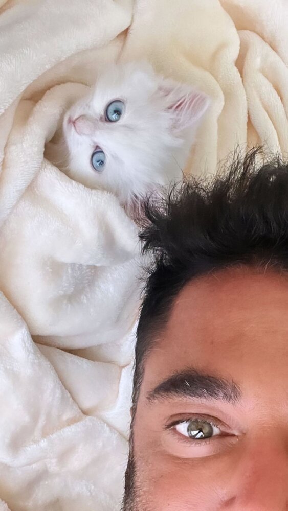 محمدرضا گلزار