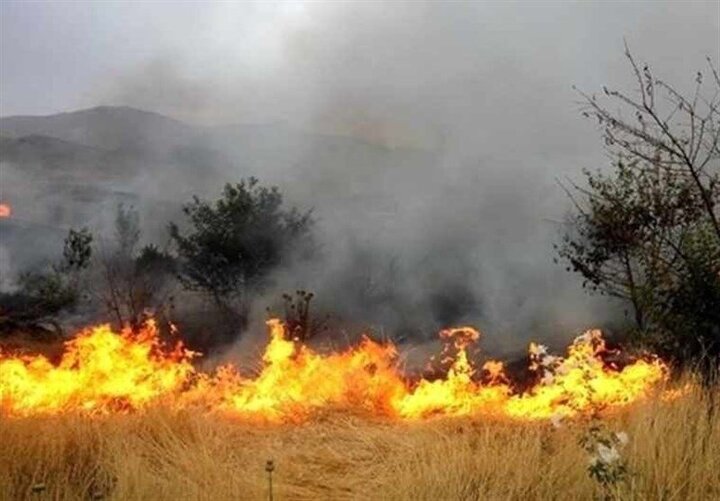 آتش سوزی بی‌رحمانه در جنگل‌های گچساران