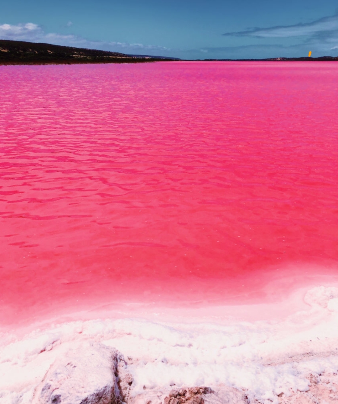 Красные озера где. Розовое озеро Хиллер Австралия. Озеро Ретба. Озеро Хиллер (остров Миддл). Озеро Лагуна Хатт Австралия.