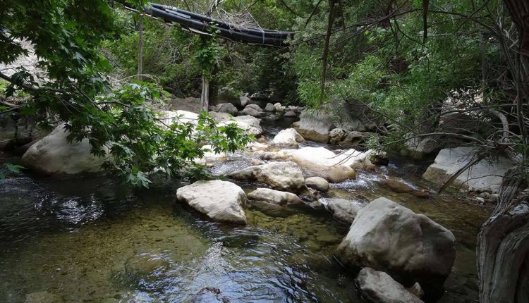 بهشتی پنهان از چشم گردشگران در ایران