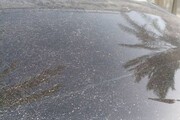 ماجرای بارش پودر سفید از آسمان آبادان چیست؟ + فیلم