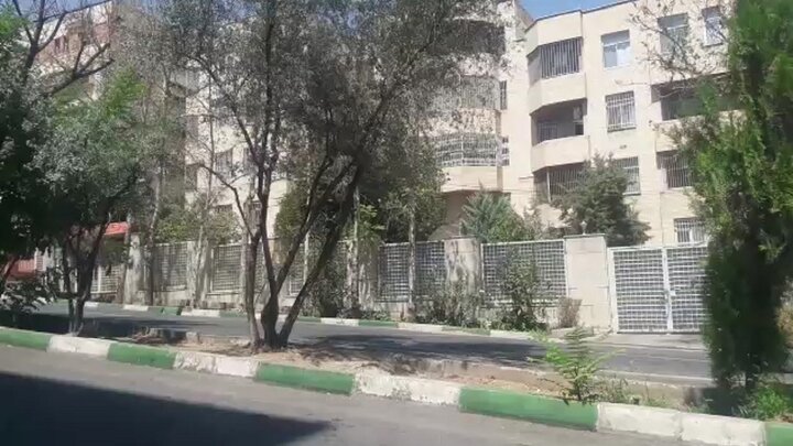 ماجرای خشک شدن درختان بلوار ستاری در محله جردن چیست؟ + فیلم